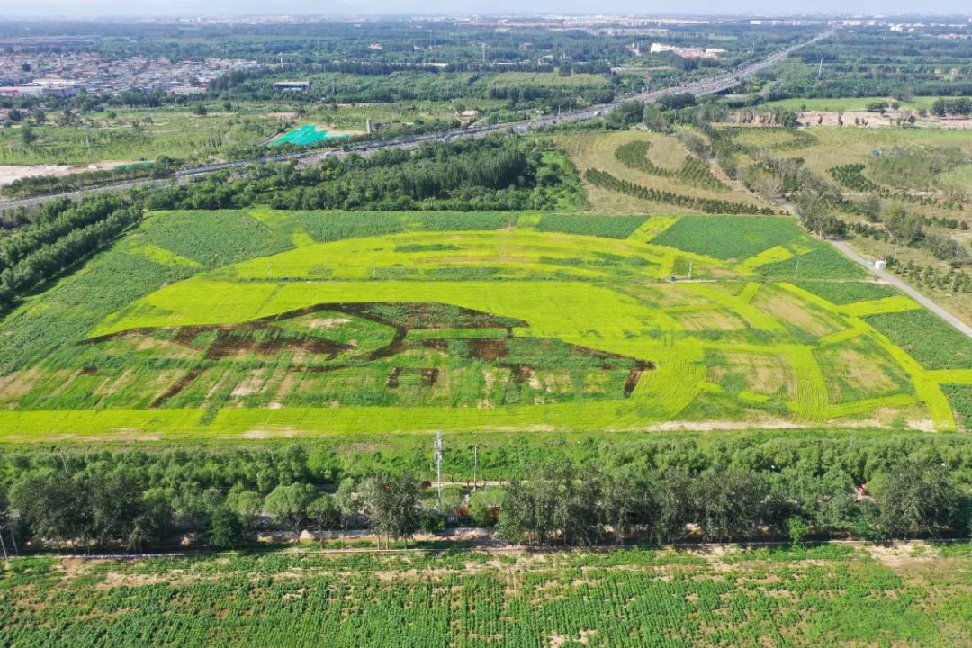 Agriculture（1）