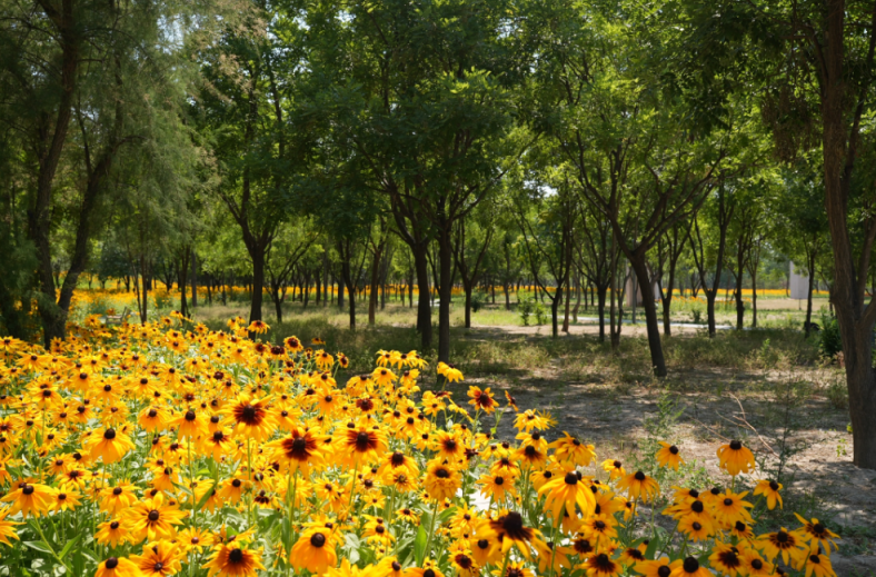 Wenyu River Park（2）