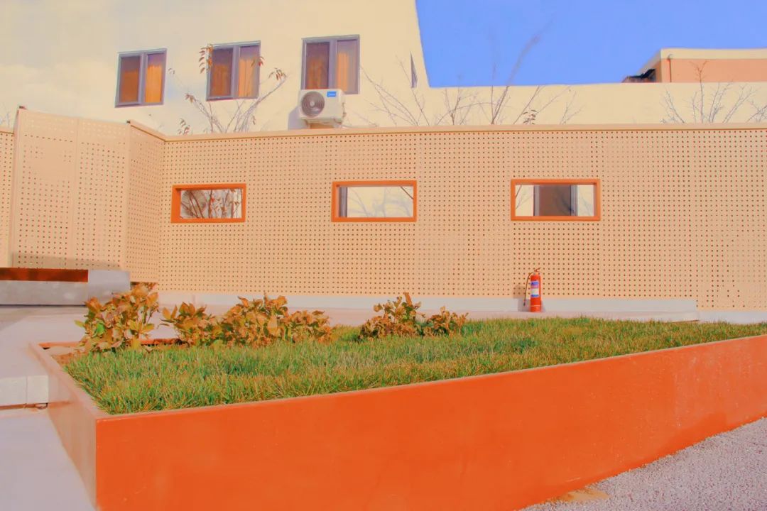 New Park （3）