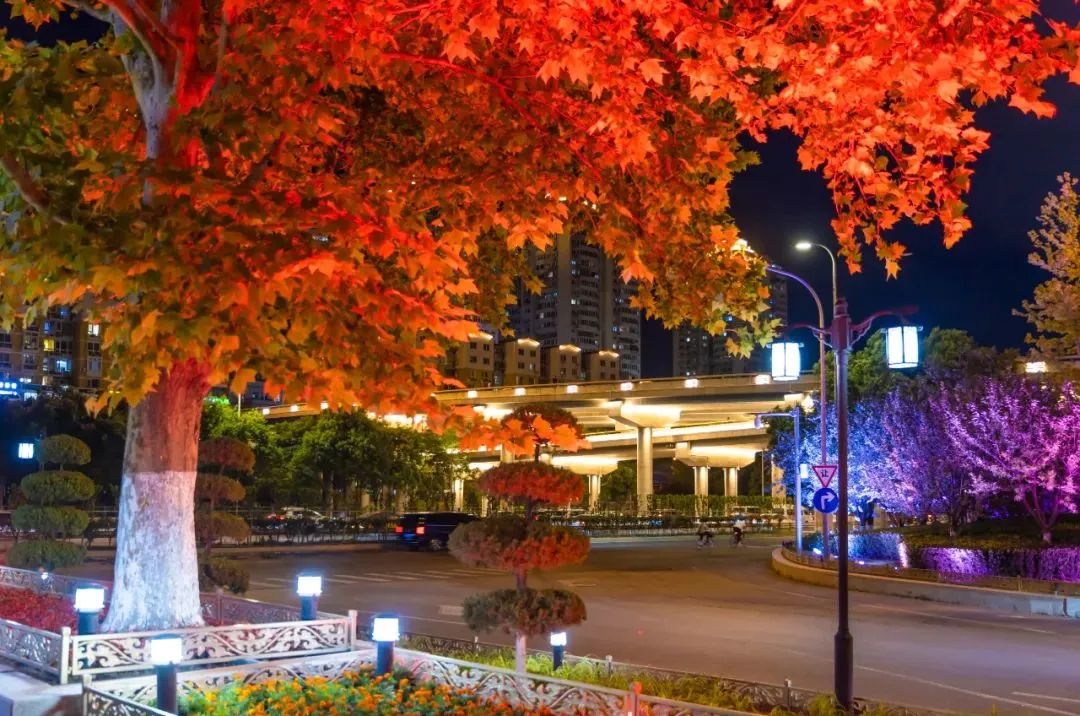 The Landscape Lighting Project（4）