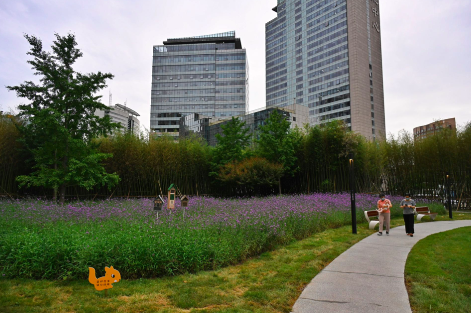 Fuyuan Park Embellishes Wangjing Walk(2)