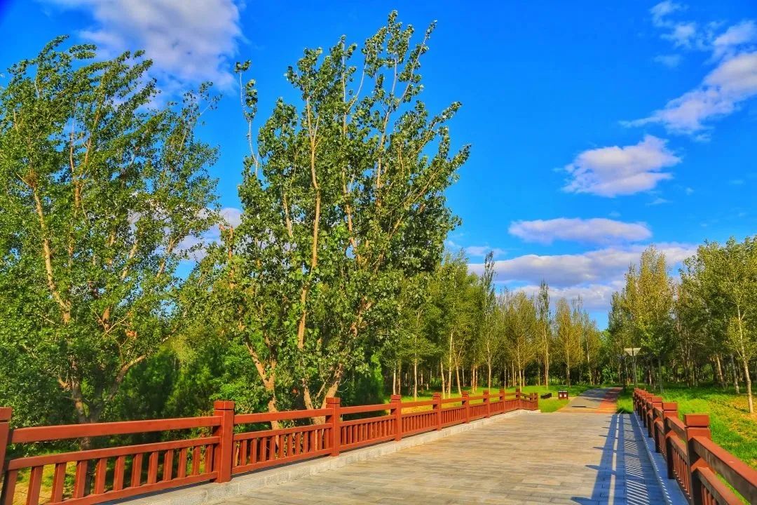 A Good Day for Cycling!(2)