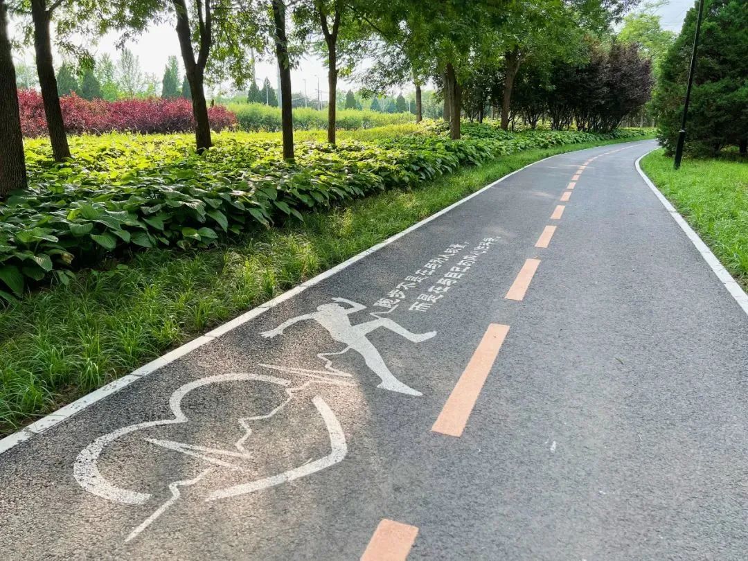 the Chaoyang Greenway(2)