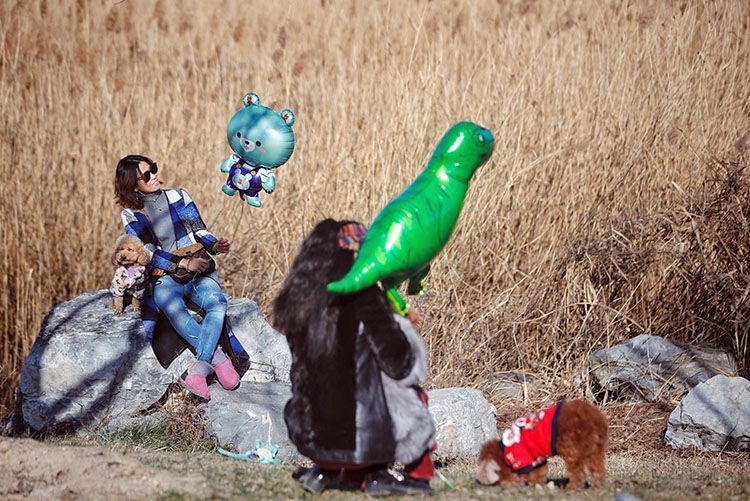 Winter in Beijing's Majiawan Wetland(1)