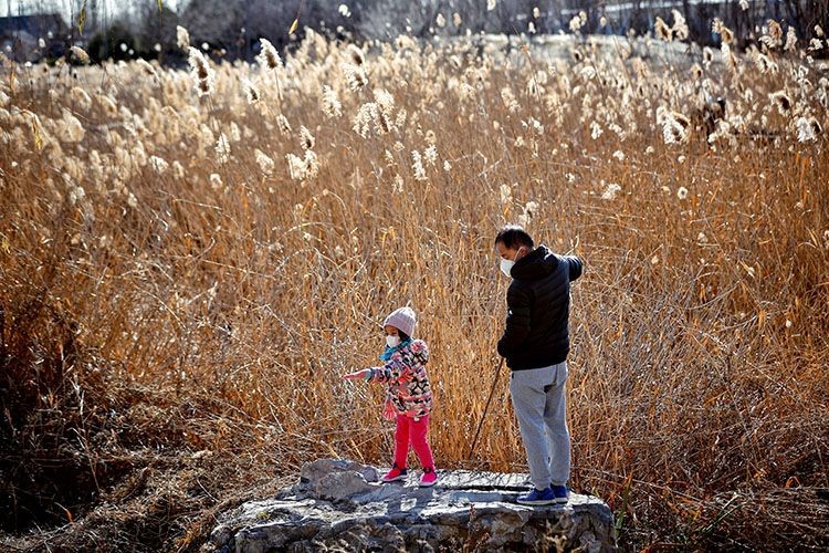 Winter in Beijing's Majiawan Wetland(4)