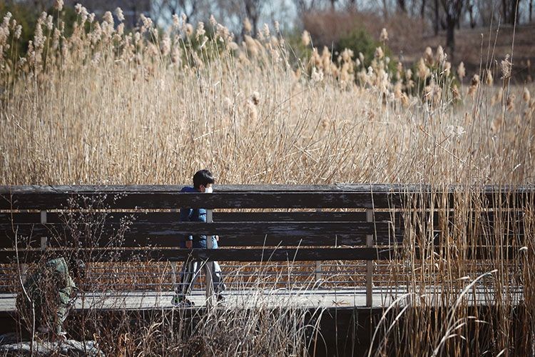 Winter in Beijing's Majiawan Wetland(5)