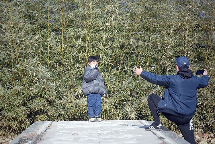 Winter in Beijing's Majiawan Wetland(7)