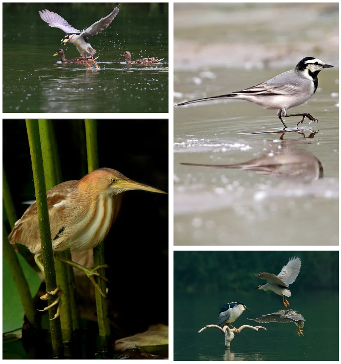 03 Jiangfu Park 