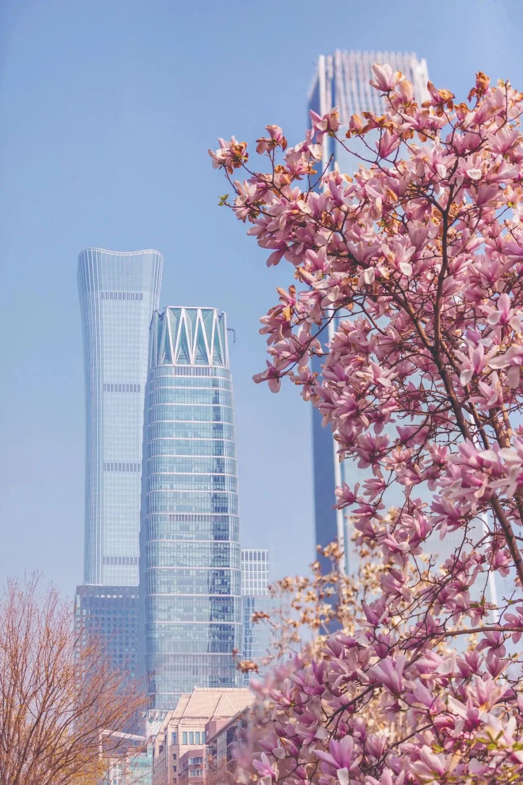 Don't Let Spring Slip Away（3）