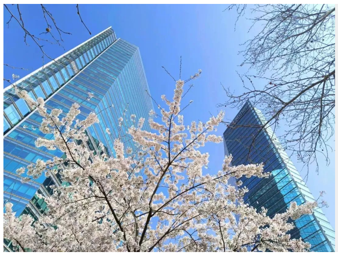 Don't Let Spring Slip Away（13）